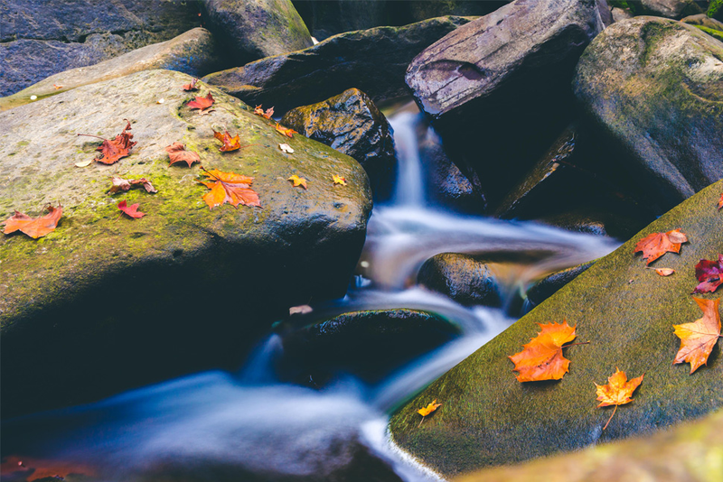 Illustration for article titled 48 Photos Of Autumn Around The World